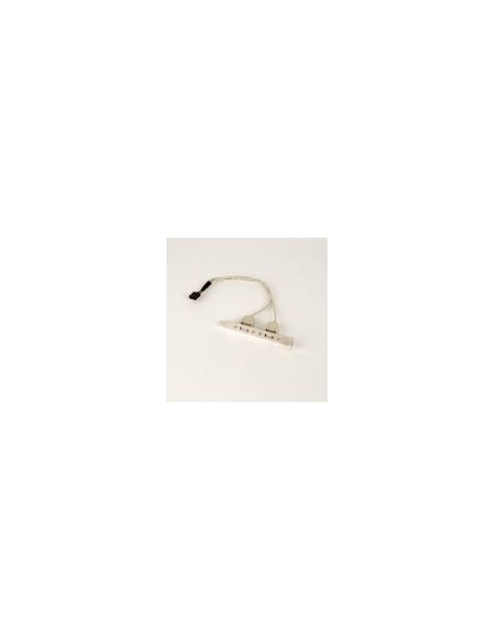 Gembird Bracket 2 Usb A Usb Int.