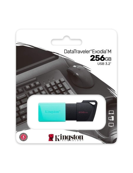 Kingston Pendrive 256gb Datatraveler Exodia M Usb 3.2