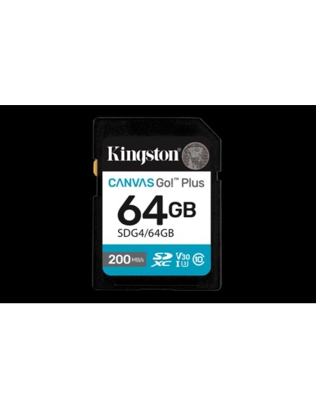 Kingston sd sdxc canvas go 64 gb sdg4-64gb cl10